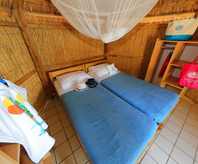 Pine Beach Pakoštane Resort***, Hrvaška Pine Beach Pakoštane Resort***, Hrvaška