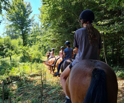 Equestin šola jahanja, sprehod na konju za otroke Equestin šola jahanja, sprehod na konju za otroke