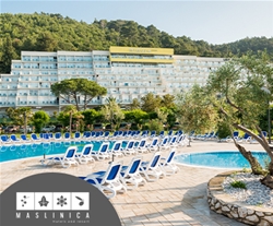 Hotel Mimosa Lido Palace 4* Rabac 