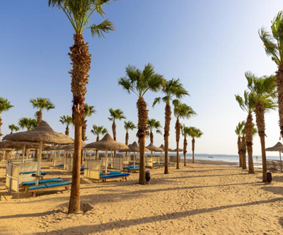 Amwaj Beach Club Resort 4* v Hurgadi, Egipt Amwaj Beach Club Resort 4* v Hurgadi, Egipt