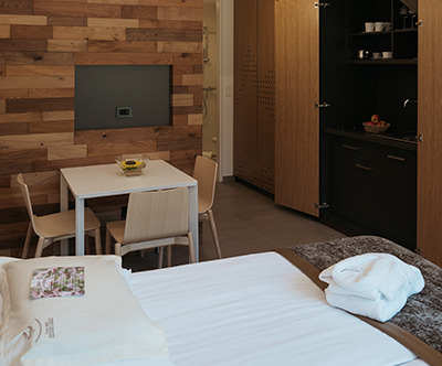 Prekmurska vas Ajda 4*, Moravci: termalni oddih Prekmurska vas Ajda 4*, Moravci: termalni oddih