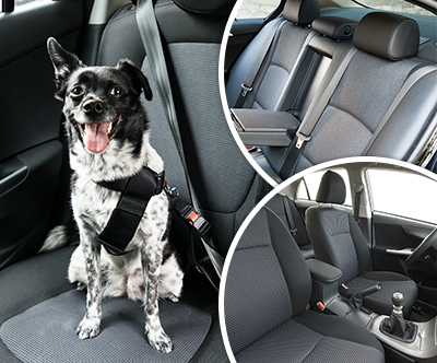 Avtopralnica Dule: globinsko in kemično čiščenje avta Avtopralnica Dule: globinsko in kemično čiščenje avta