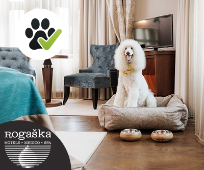Hotel Zagreb****, Rogaška Slatina: oddih s psom Hotel Zagreb****, Rogaška Slatina: oddih s psom