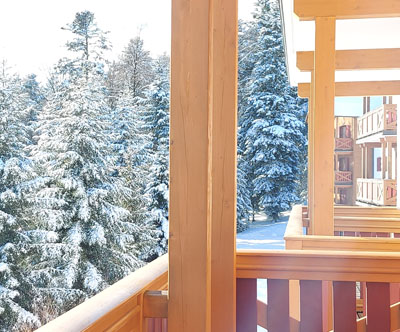 Apartmaji Forest Videc 3*, Mariborsko Pohorje