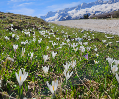 Sella Nevea Resort, Kanin: 2x nočitev