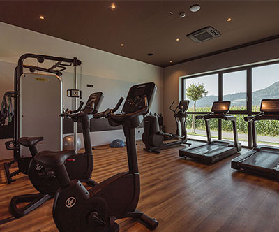 Hotel Grof 4*, Vransko: valentinov oddih