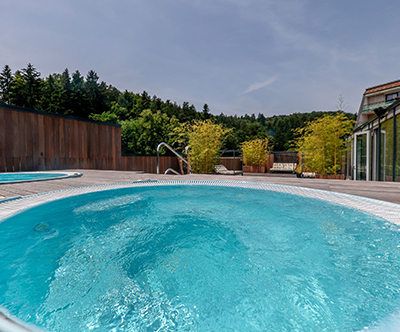 Terme Dobrna, Hotel Švicarija 4* ali Boutique Hotel 4*