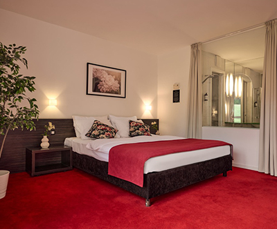 Terme Sveti Martin, Sveti Martin na Muri: polpenzion