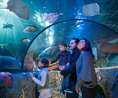 Zabaviščni park Gardaland in Sea Life: vstopnica