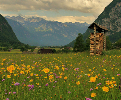 Družinski hotel Tripic: nepozabni aktivni oddih Družinski hotel Tripic: nepozabni aktivni oddih