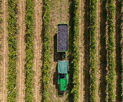 Hotel 5 sunca, Đurđekovac, Hrvaška: oddih med vinogradi