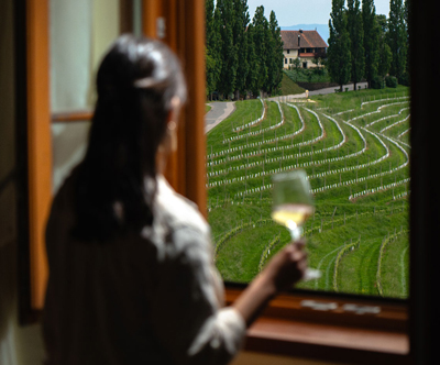 Dvorec Jeruzalem 4*, luksuzen oddih