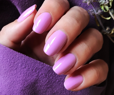 Head Spa Studio Suzy: tečaj permanentnega lakiranja