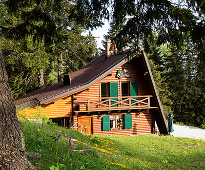 Brunarica Alpinka, Krvavec: oddih v naravi