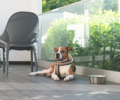 Kamp Plitvice 5*: mobilna hišica Premium