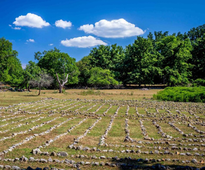 Pansion Tramontana: kosilo, vstopnica za Center Beli