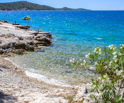 Apartmaji Skelin, Rogoznica: 1x nočitev