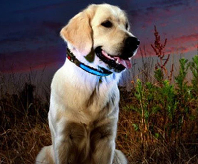 Paket 25 izdelkov za dom, prosti čas, nego in zabavo 