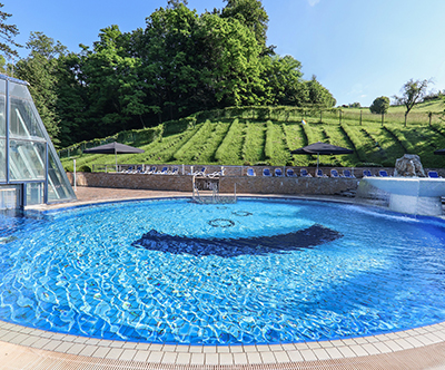 Terme Dobrna, Boutique Hotel Dobrna 4*: termalni oddih