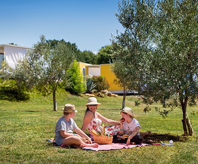 Aminess Planet Camping Maravea, Novigrad: hiške