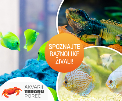 Akvarij & Terarij Porec, vstopnica za odrasle Akvarij & Terarij Porec, vstopnica za odrasle