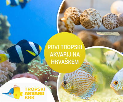 Tropski akvarij Krk, vstopnica za odrasle Tropski akvarij Krk, vstopnica za odrasle