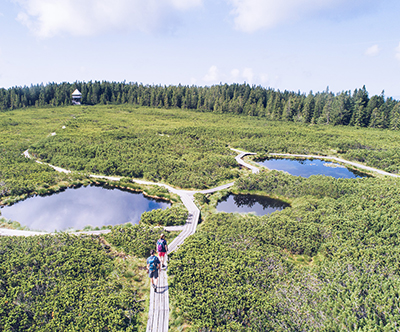 Apartmaji Bolfenk 4*, Mariborsko Pohorje Apartmaji Bolfenk 4*, Mariborsko Pohorje