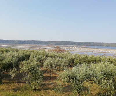 Salvia guest house, Portorož, jesenski oddih 