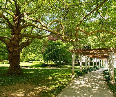 Terme Dobrna, Hotel Švicarija 4*: wellness oddih