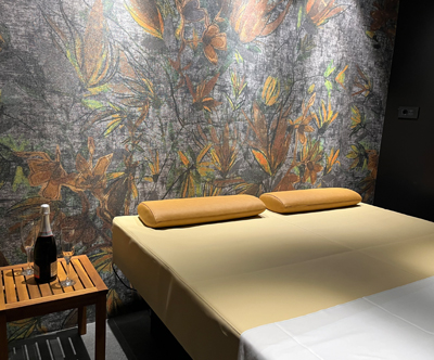 Hotel Vital, Moravske Toplice: najem wellnessa Hotel Vital, Moravske Toplice: najem wellnessa