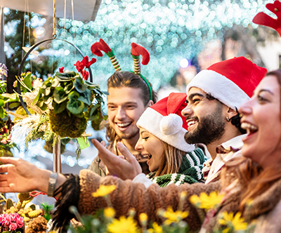 goHolidays: Adventni Dunaj, Sankt Poelten, 2 dni, izlet