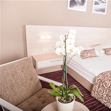 Hotel Zagreb****, Rogaška Slatina: oddih s psom