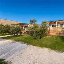 Glamping & Camping Papafigo 4*, Vodnjan