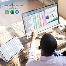 6-mesečni začetni in nadaljevalni tečaj Microsoft Excel