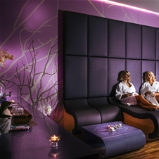 Hotel Thermana Park Laško 4* Sup: termalni oddih