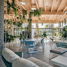 Terme Catež, Hotel Catež 3*: oddih s polpenzionom