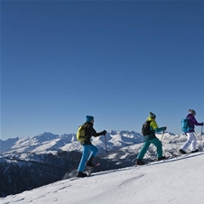 Alm-Resort Frühauf 4*: zimski all inclusive oddih
