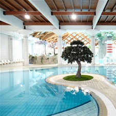 Terme Čatež, Hotel Terme 4*, Čatež: polpenzion