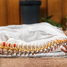 Terra Medica: manualna terapija, osteopatski tretma