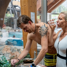Terme Snovik: celodnevna kopalna karta