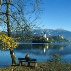 Hotel Astoria 3*superior, Bled: oddih