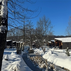 Glamping Resort, Toplice Sveti Martin: Božič 