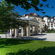 Grand hotel Sava 4*, Rogaška Slatina: termalni oddih