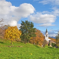 Panorama glamping Vipavska dolina: oddih v naravi