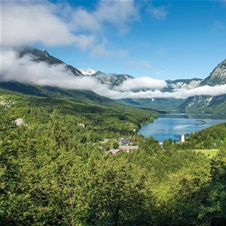 Apartma MM 3*, Bohinjska Češnjica
