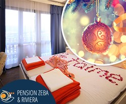 Pansion Zeba