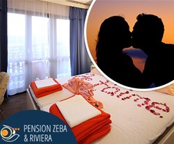 Pansion Zeba