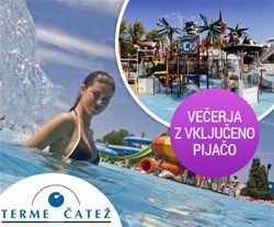 terme čatež