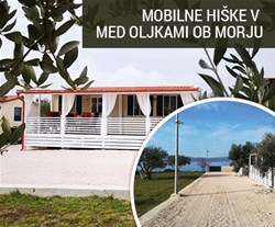 mobilne hiške kamp Trstike
