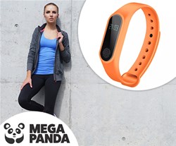 Mega Panda